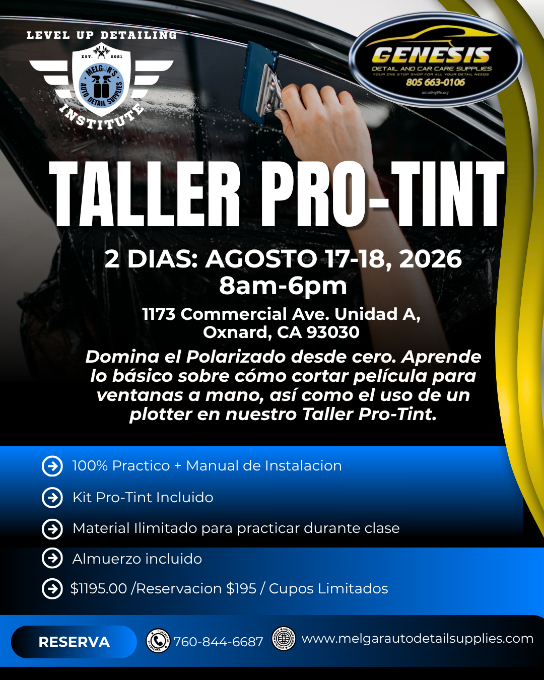 Taller Pro-Tint